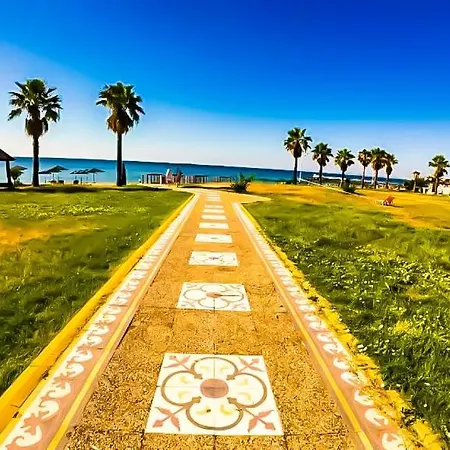 William's - Sixth Large سفيتي فلاس