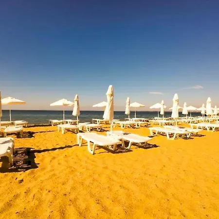 William's - Sixth Large * سفيتي فلاس