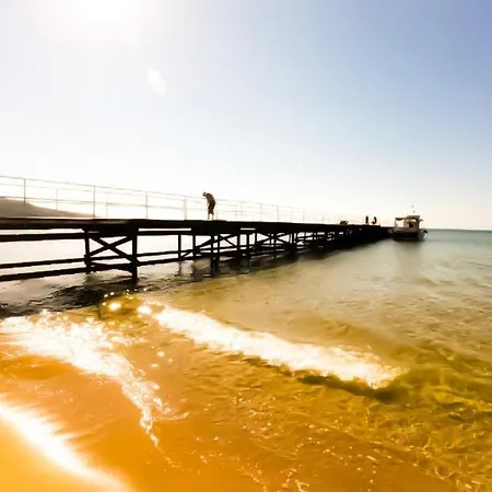 شقة William's - Sixth Large