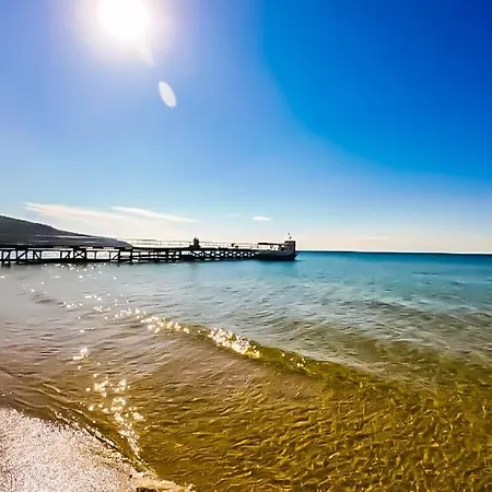 William's - Sixth Large