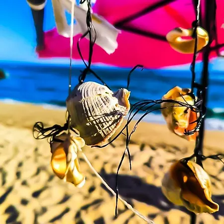 William's - Sixth Large سفيتي فلاس