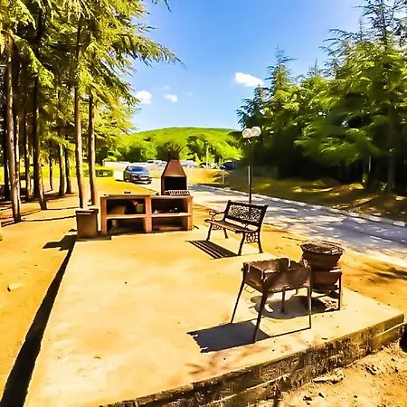 William's - Sixth Large سفيتي فلاس