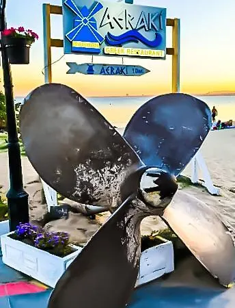 William's - Sixth Large سفيتي فلاس