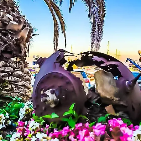 William's - Sixth Large *