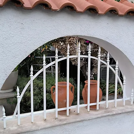 William's - Sixth Large Sveti Vlas