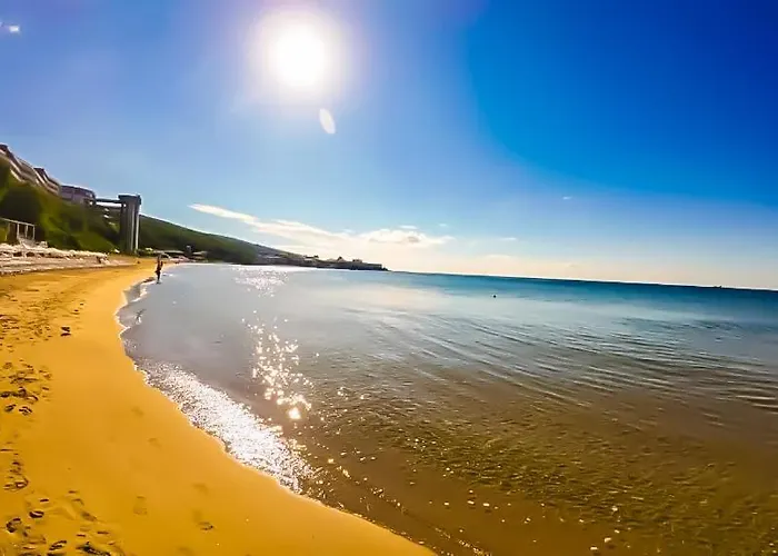 William's - Sixth Large *